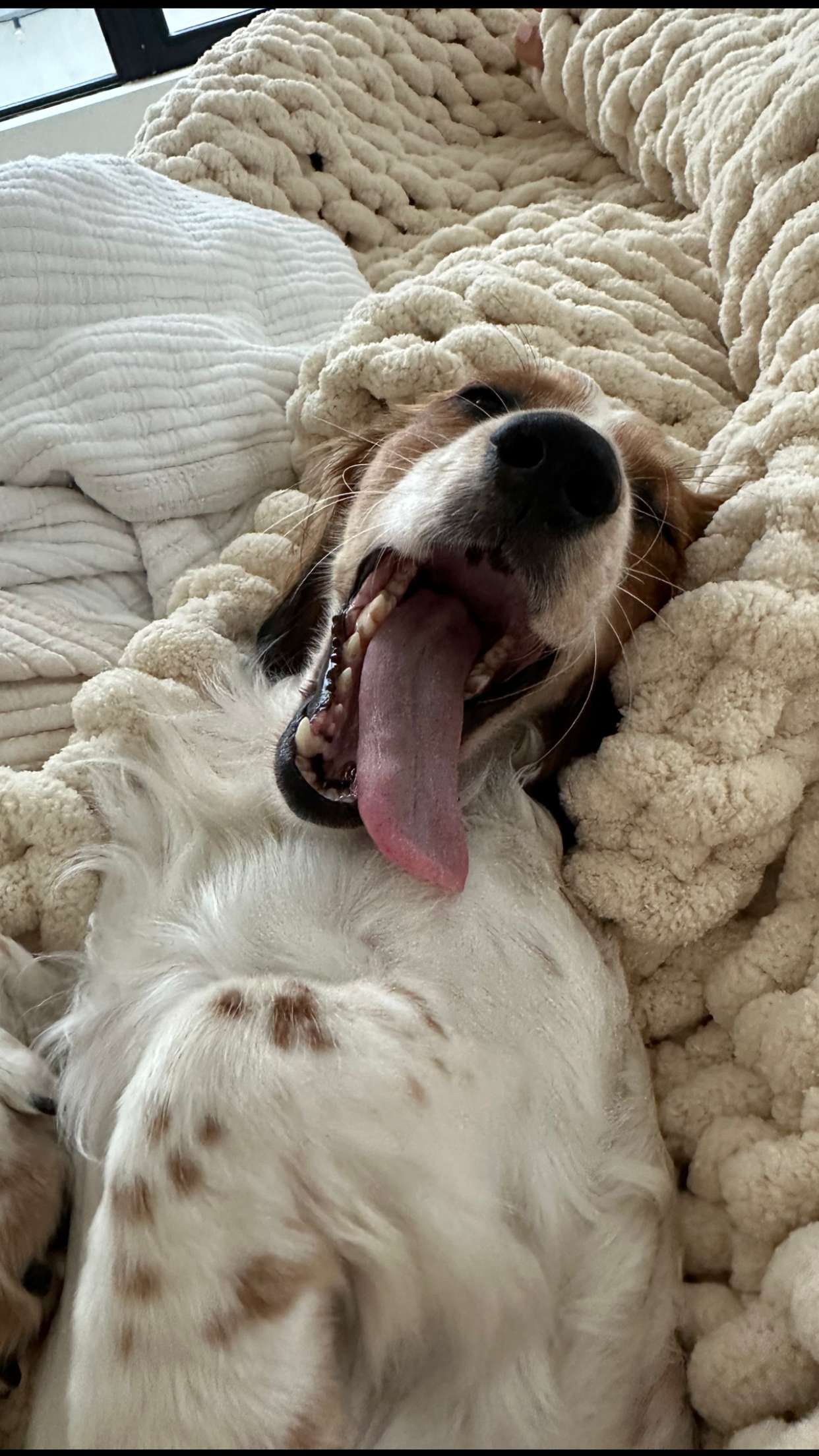 laurenj.fit snapchat image archive image