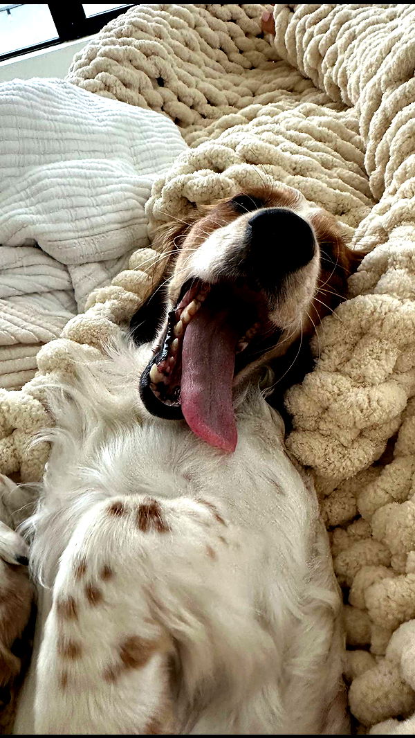 laurenj.fit image ~ Altpins