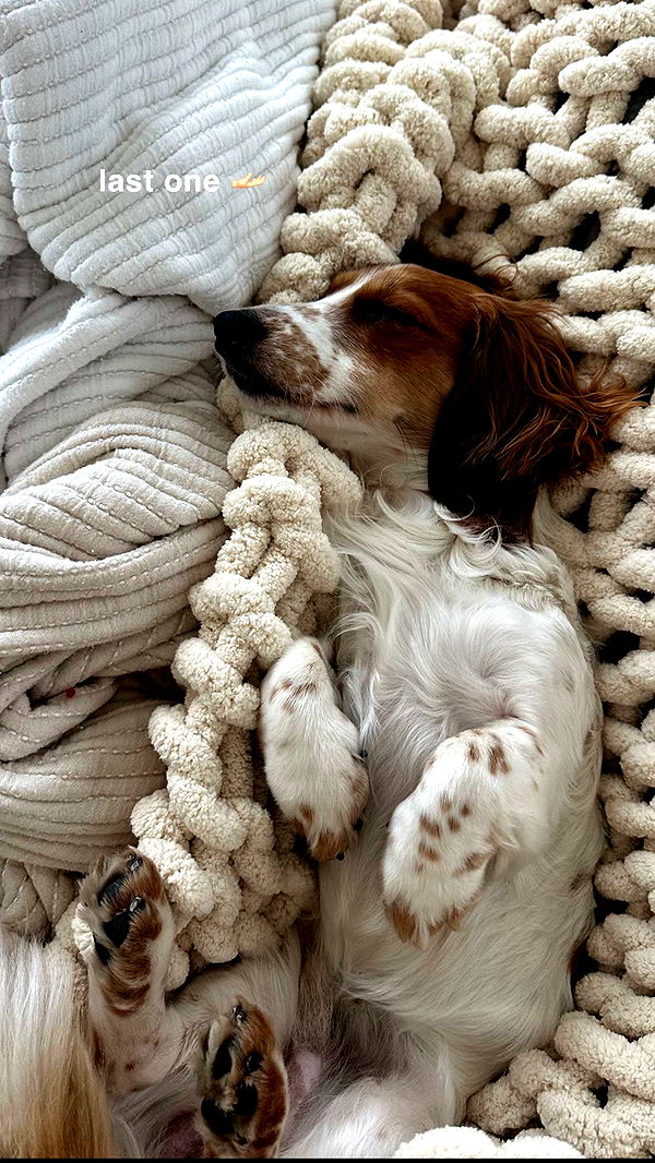 laurenj.fit image ~ Altpins