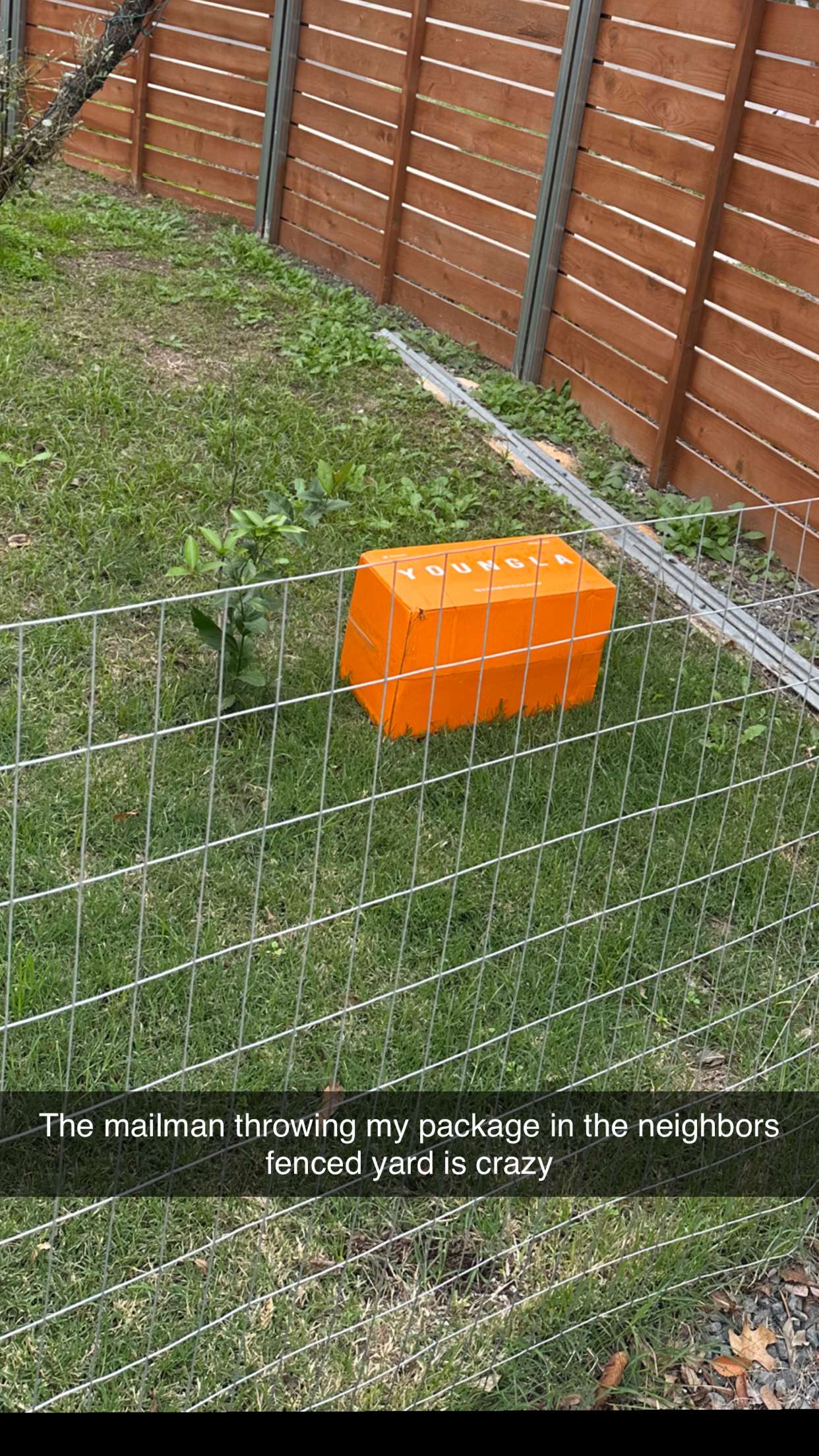 laurenj.fit snapchat image archive image