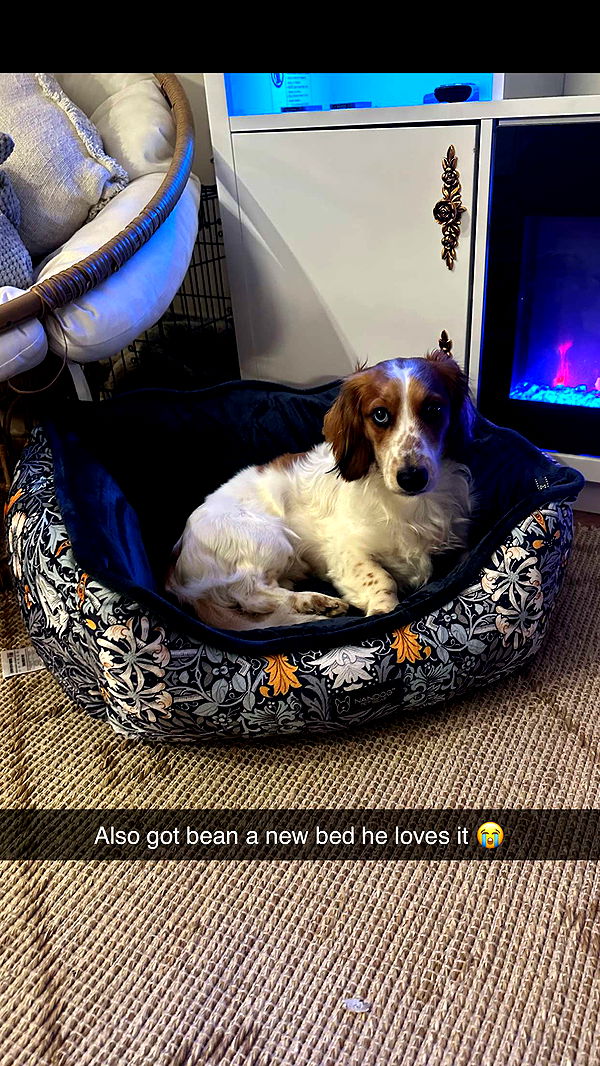 laurenj.fit image ~ Altpins