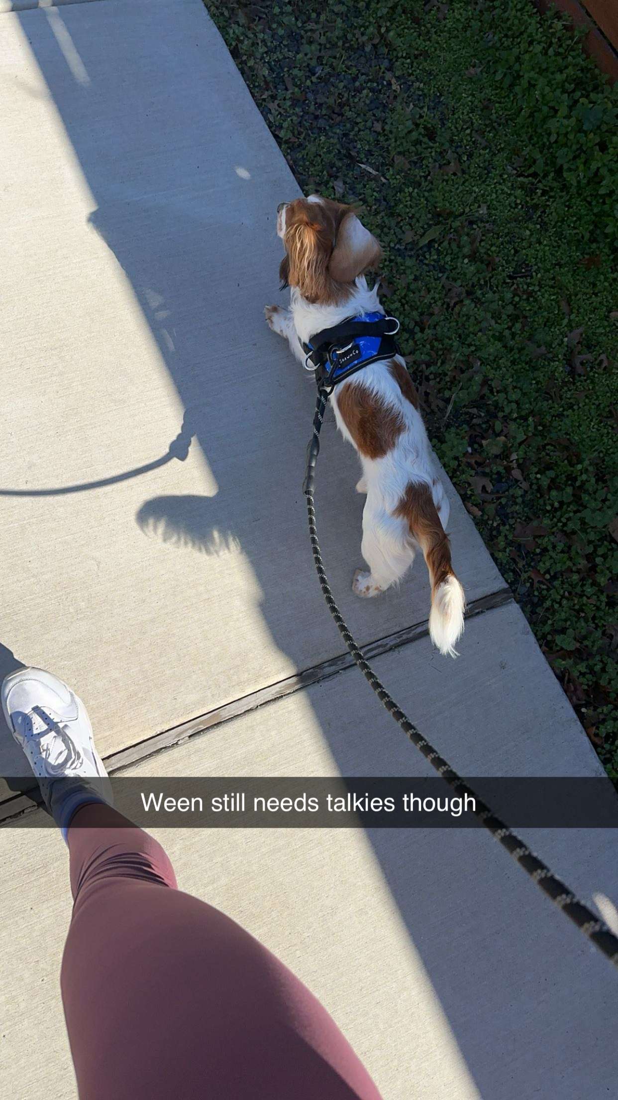 laurenj.fit snapchat image archive image