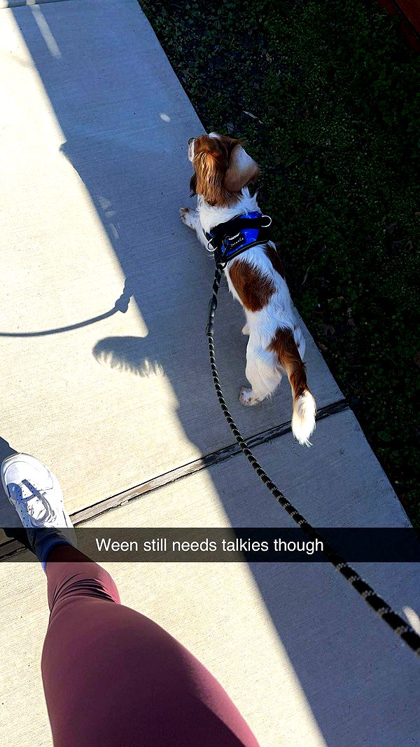 laurenj.fit image ~ Altpins