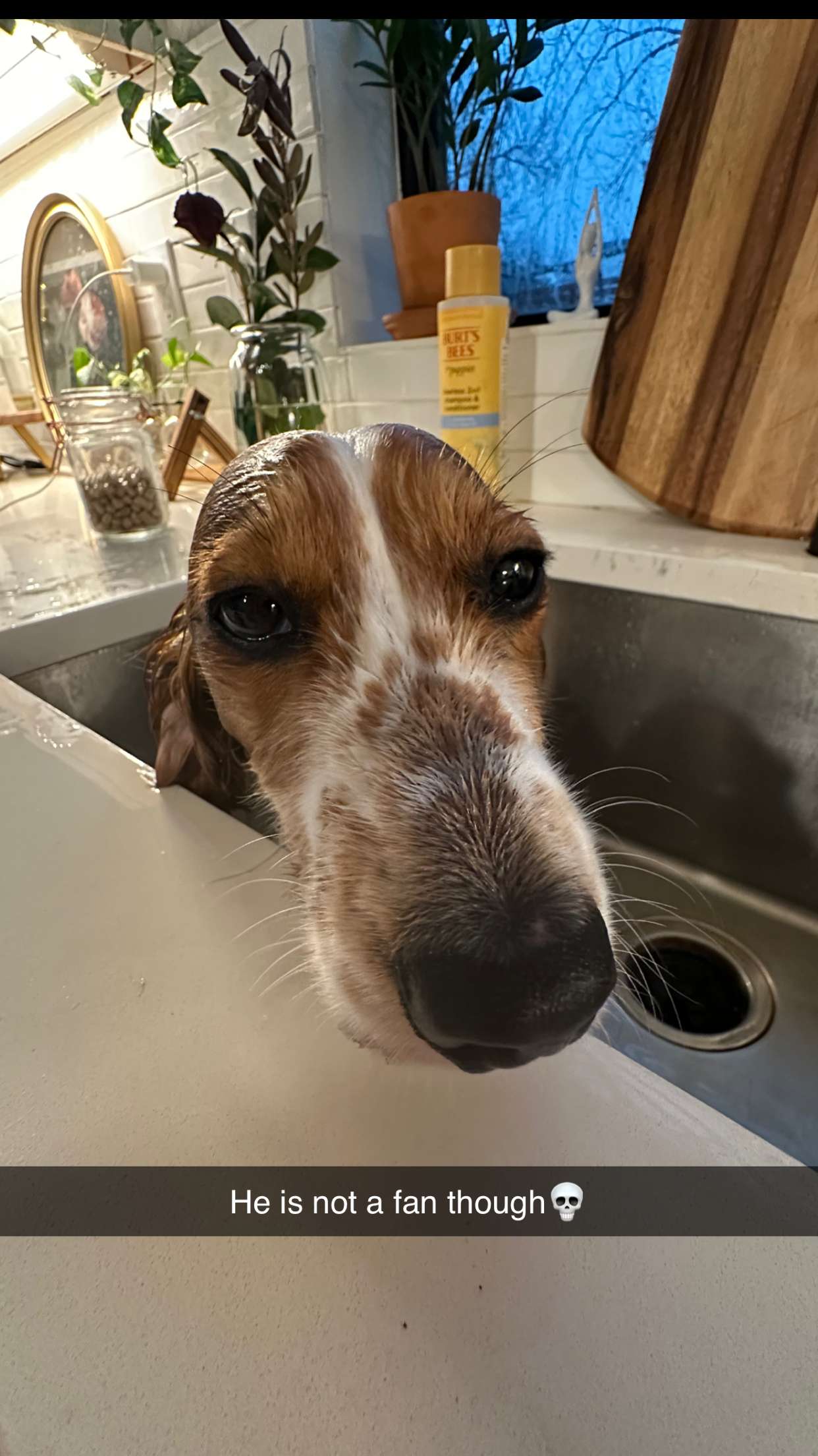 laurenj.fit snapchat image archive image