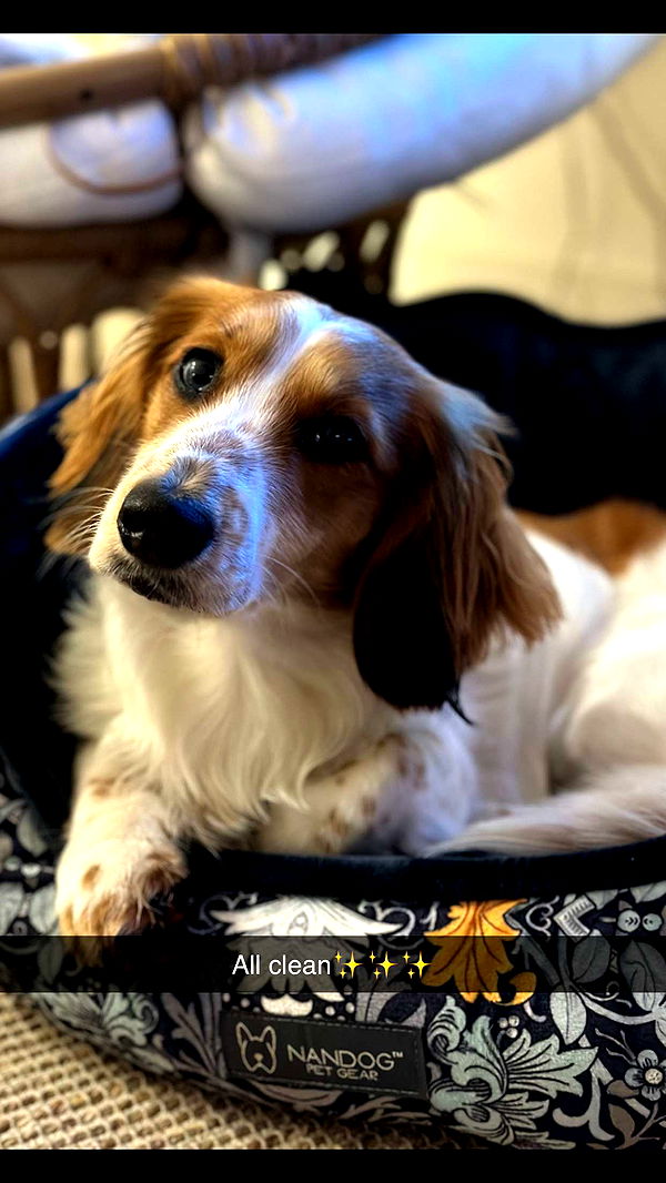 laurenj.fit image ~ Altpins