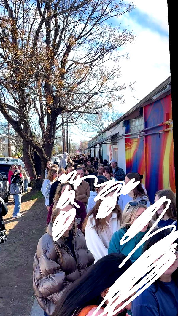 laurenj.fit image ~ Altpins