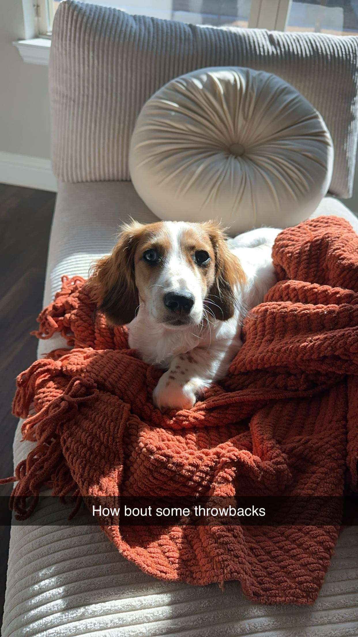 laurenj.fit snapchat image archive image