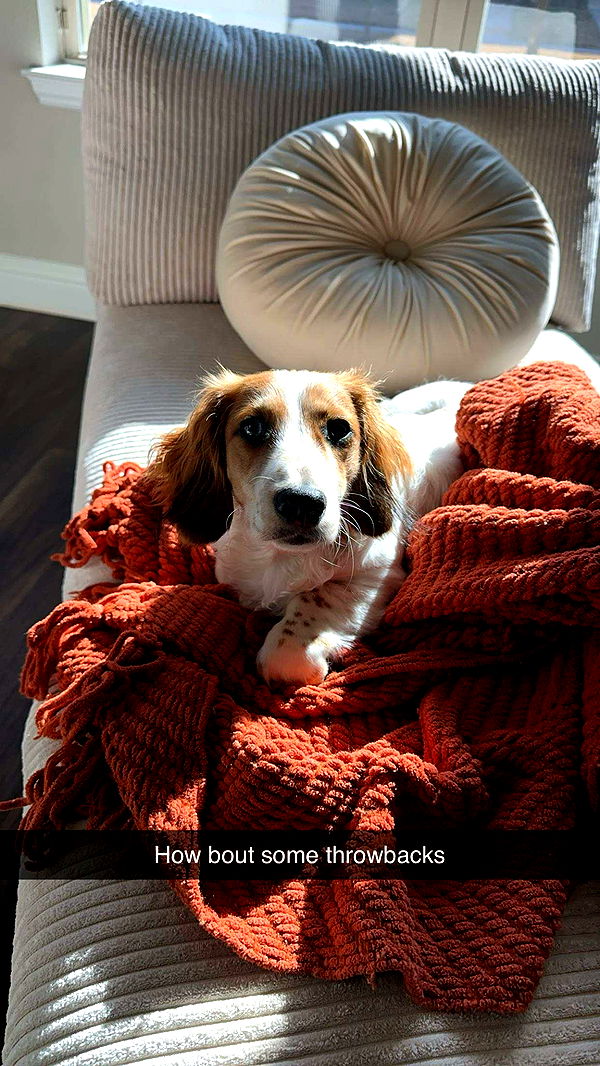 laurenj.fit image ~ Altpins