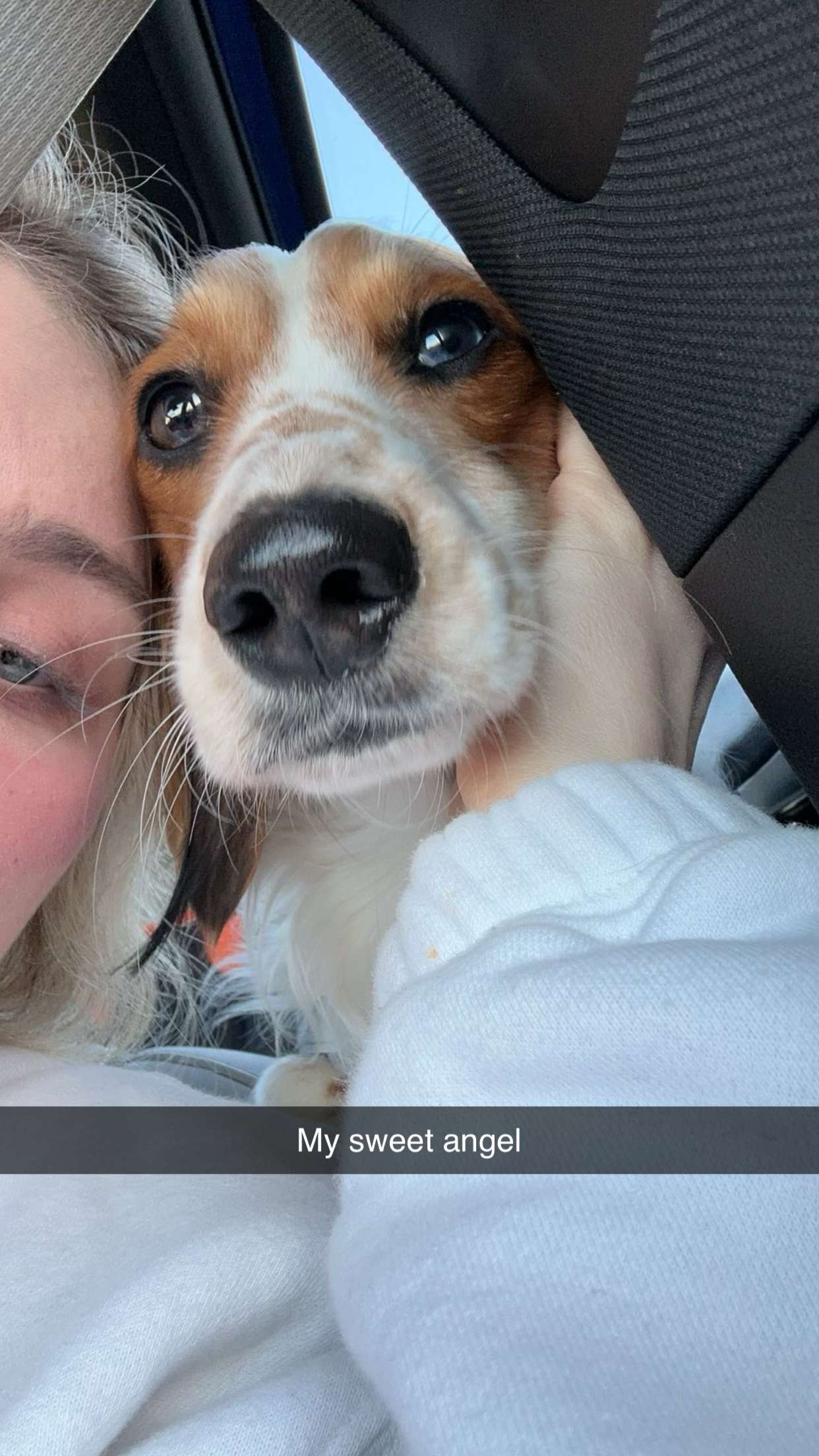 laurenj.fit snapchat image archive image