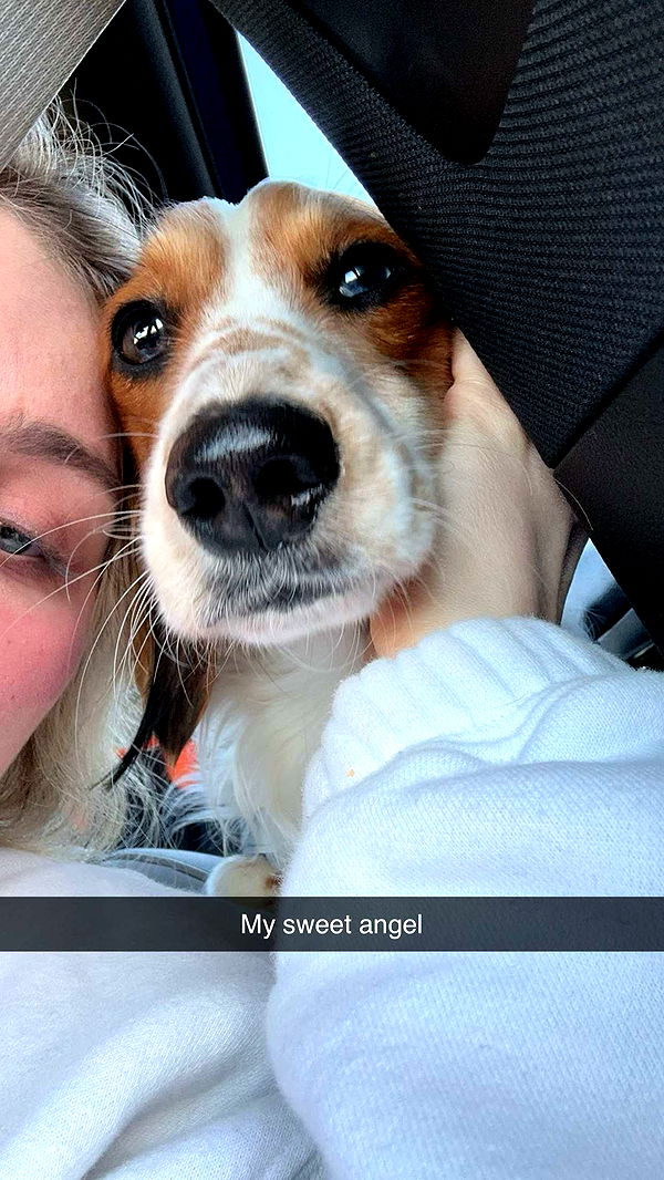 laurenj.fit image ~ Altpins