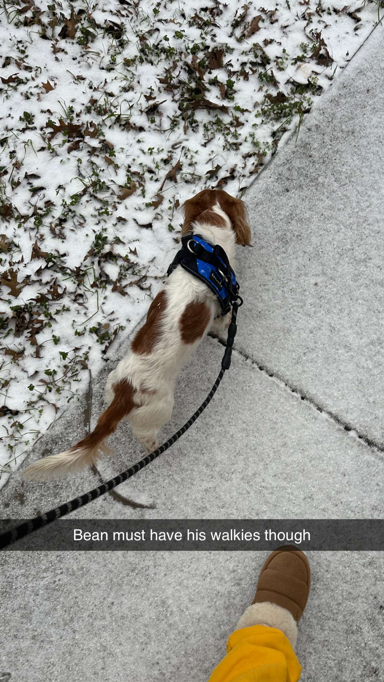 laurenj.fit snapchat image archive image