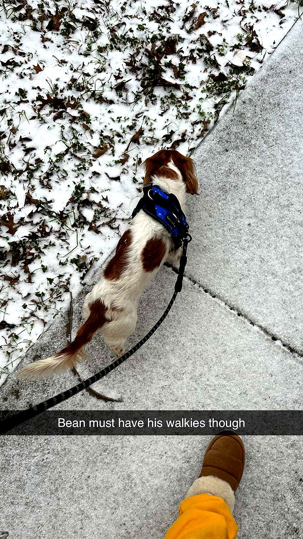 laurenj.fit image ~ Altpins