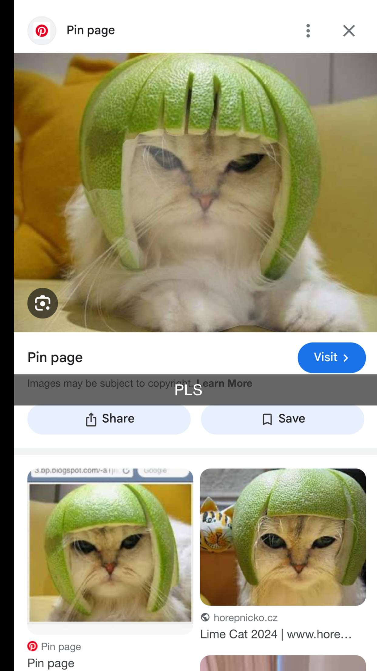 laurenj.fit snapchat image archive image