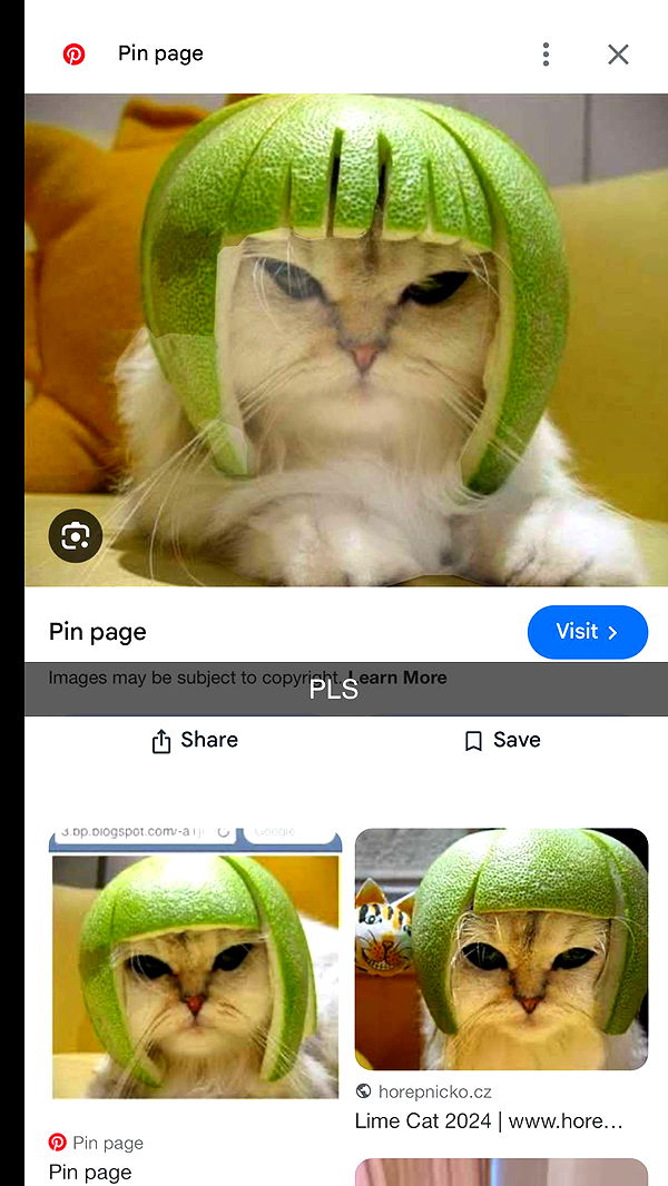 laurenj.fit image ~ Altpins