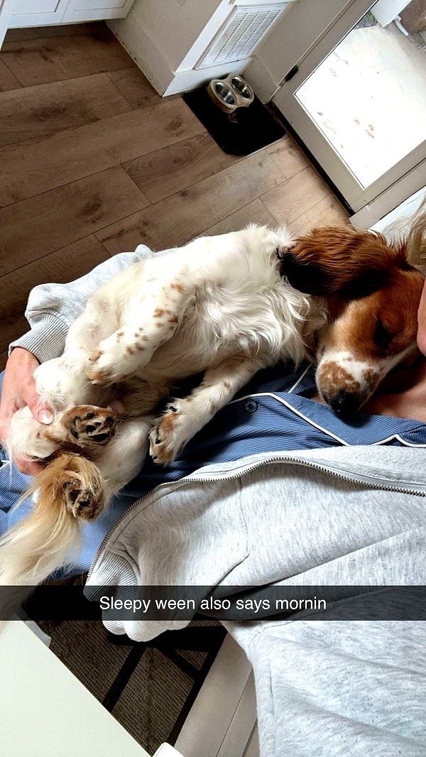 laurenj.fit image ~ Altpins