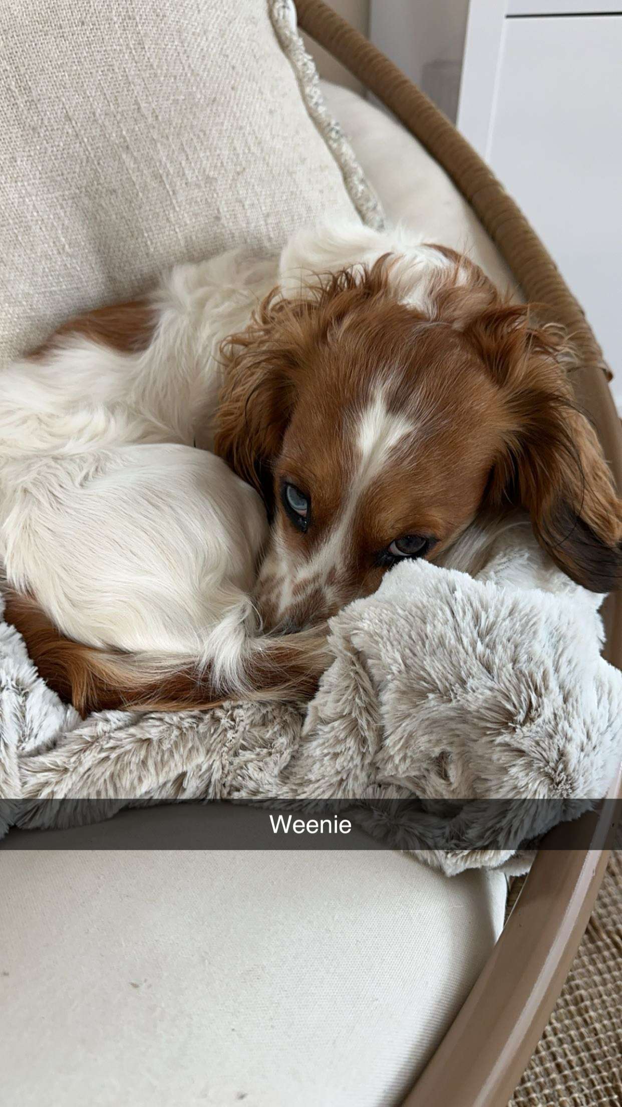 laurenj.fit snapchat image archive image