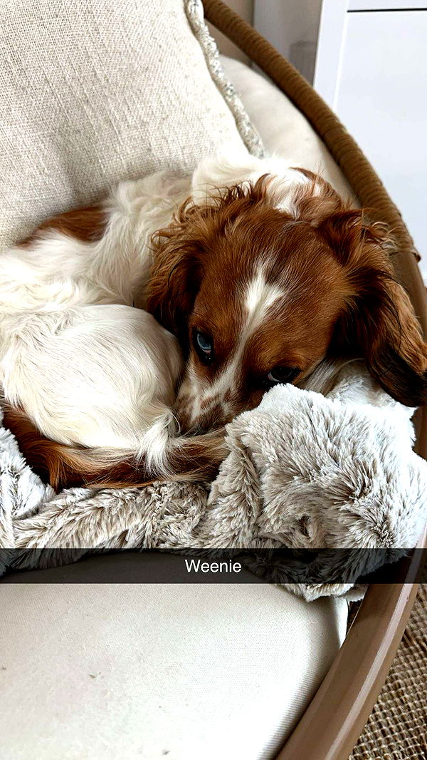 laurenj.fit image ~ Altpins