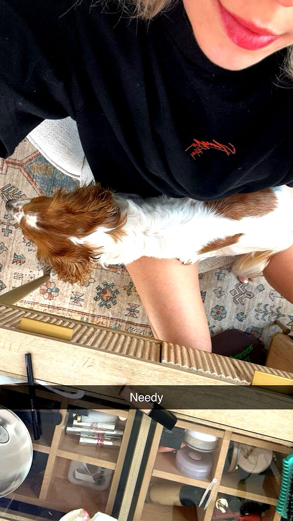 laurenj.fit image ~ Altpins