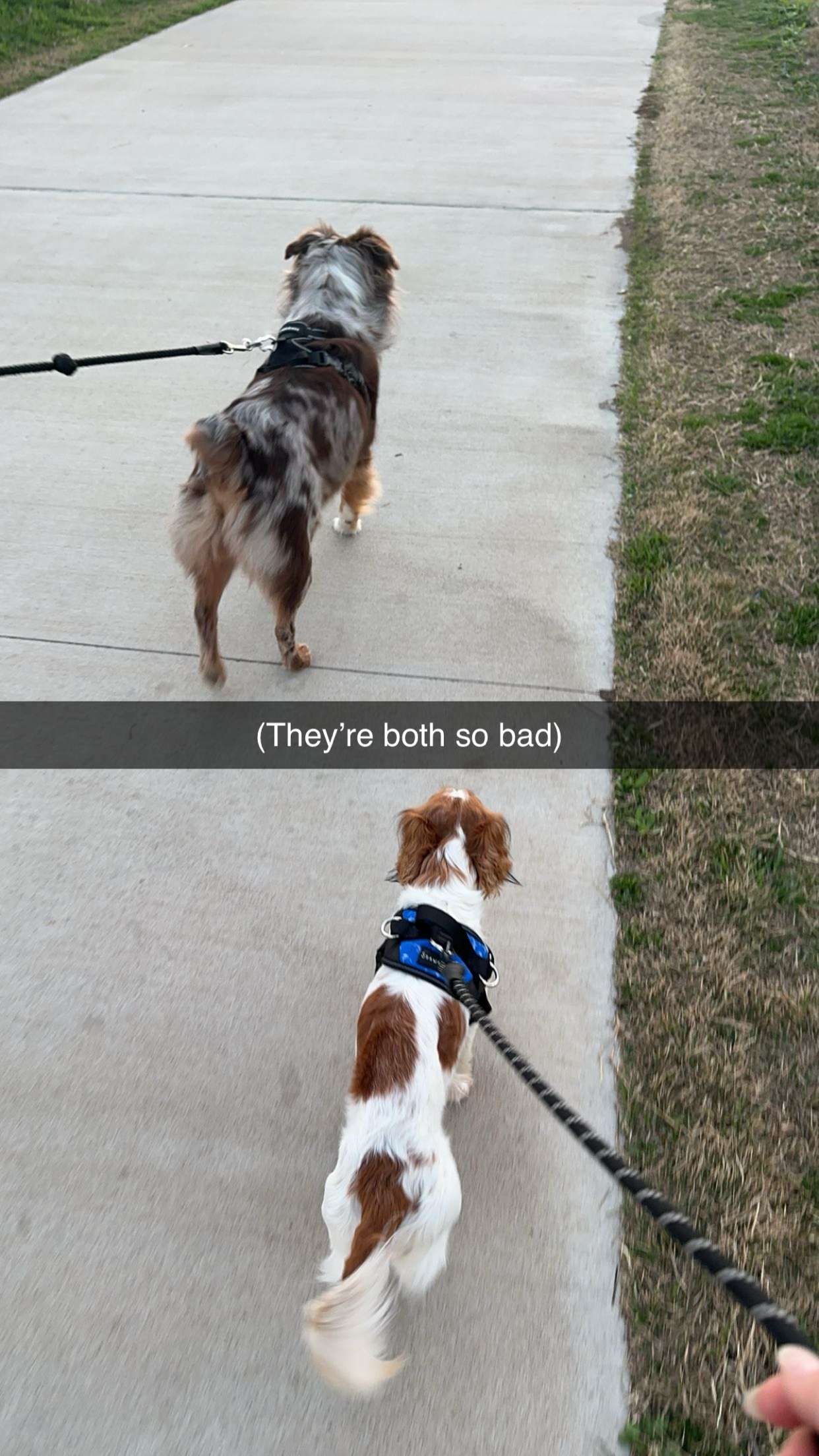 laurenj.fit snapchat image archive image