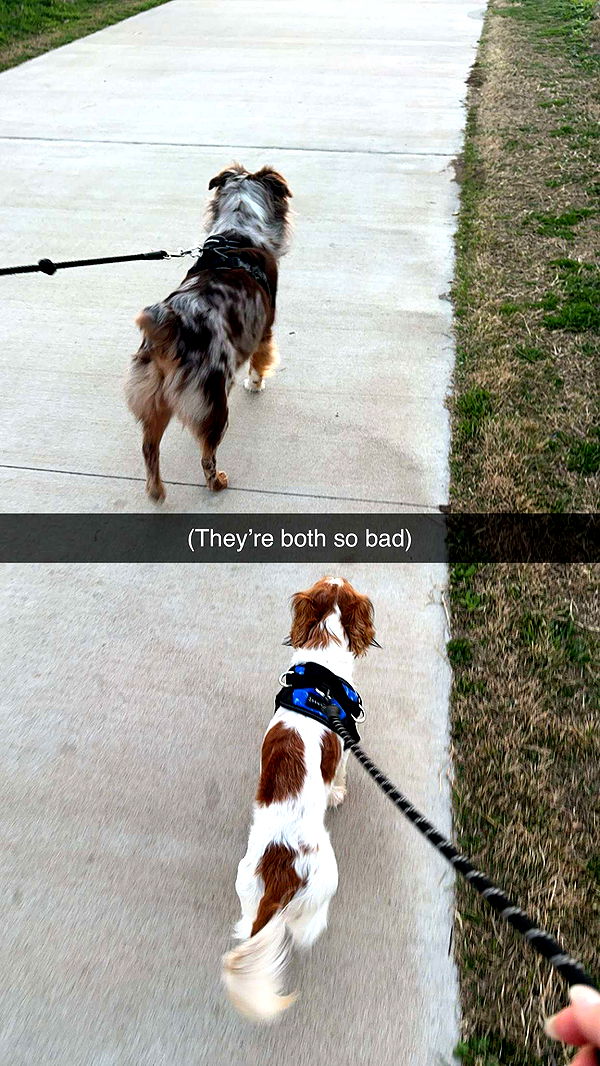 laurenj.fit image ~ Altpins