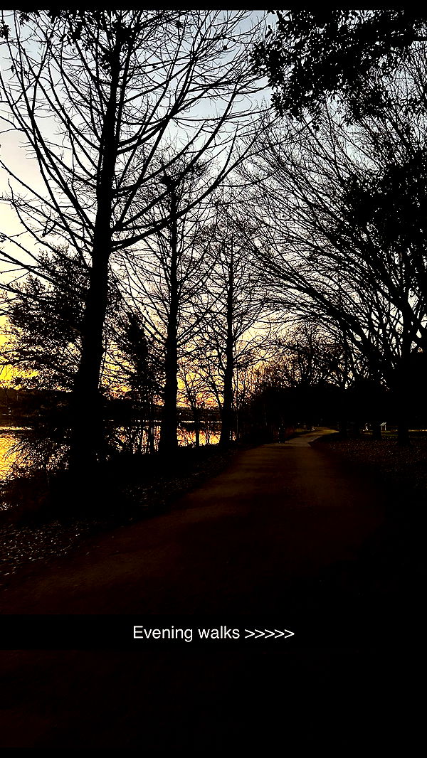 laurenj.fit image ~ Altpins