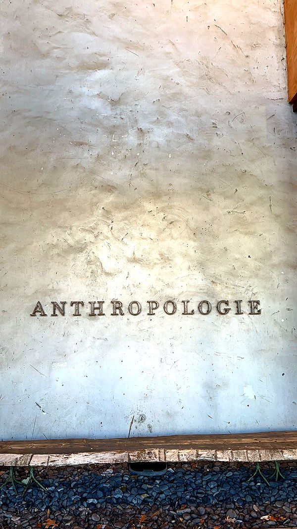 laurenj.fit image ~ Altpins