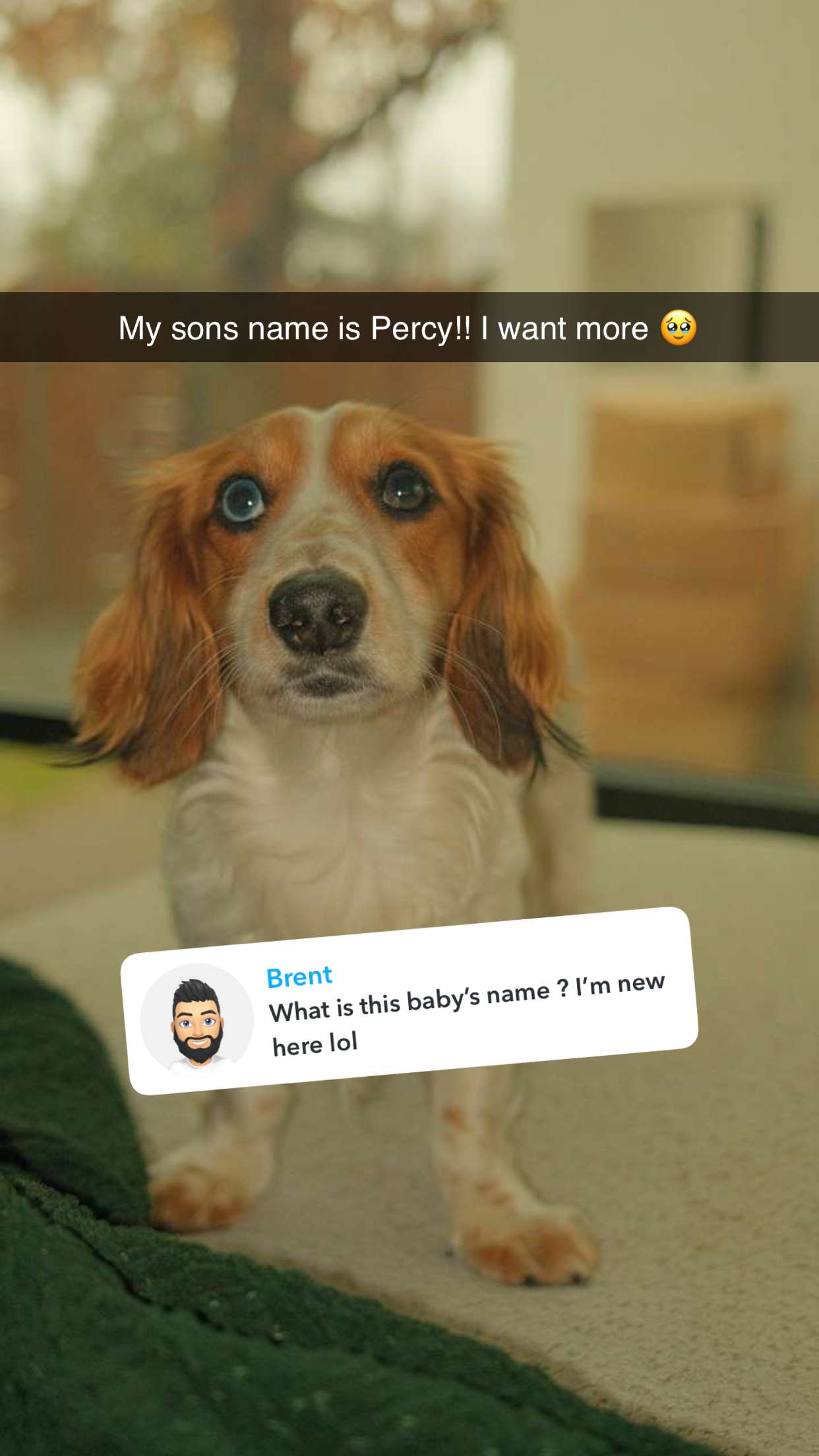 laurenj.fit snapchat image archive image