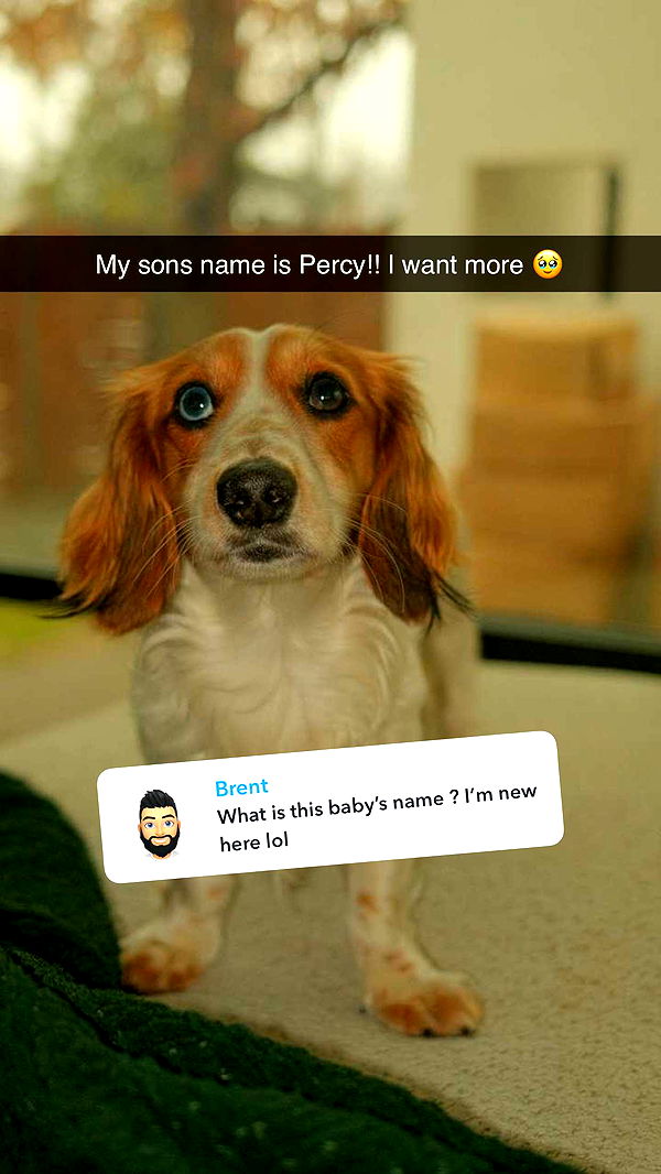 laurenj.fit image ~ Altpins