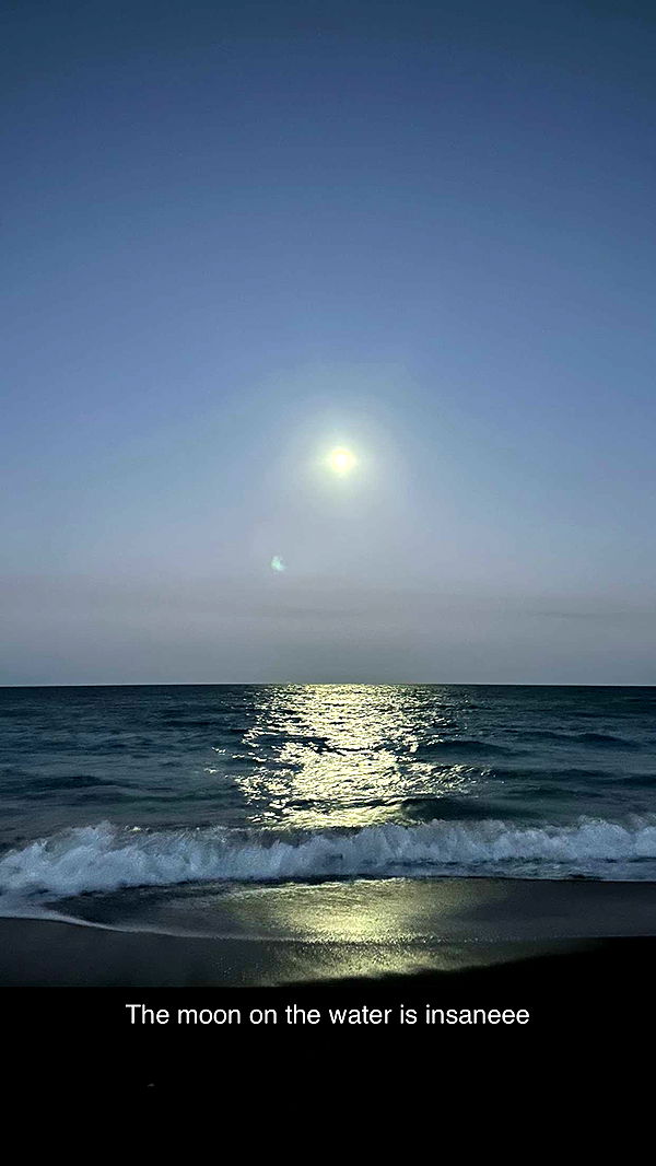 laurenj.fit image ~ Altpins