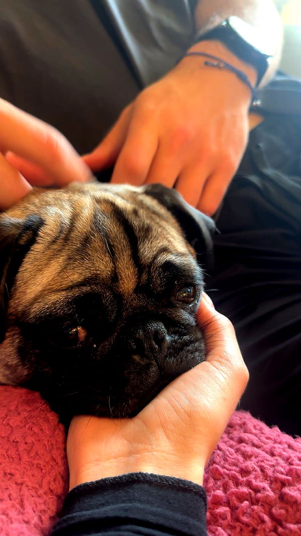 laurenj.fit image ~ Altpins