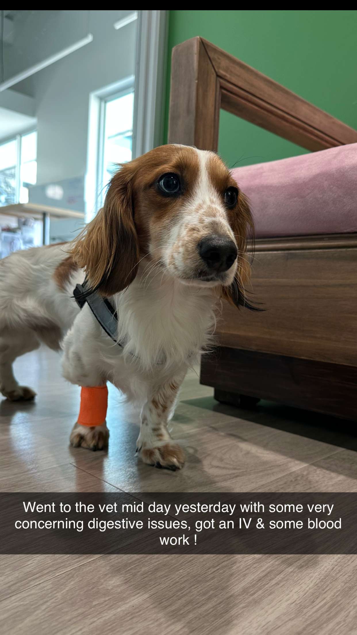 laurenj.fit snapchat image archive image