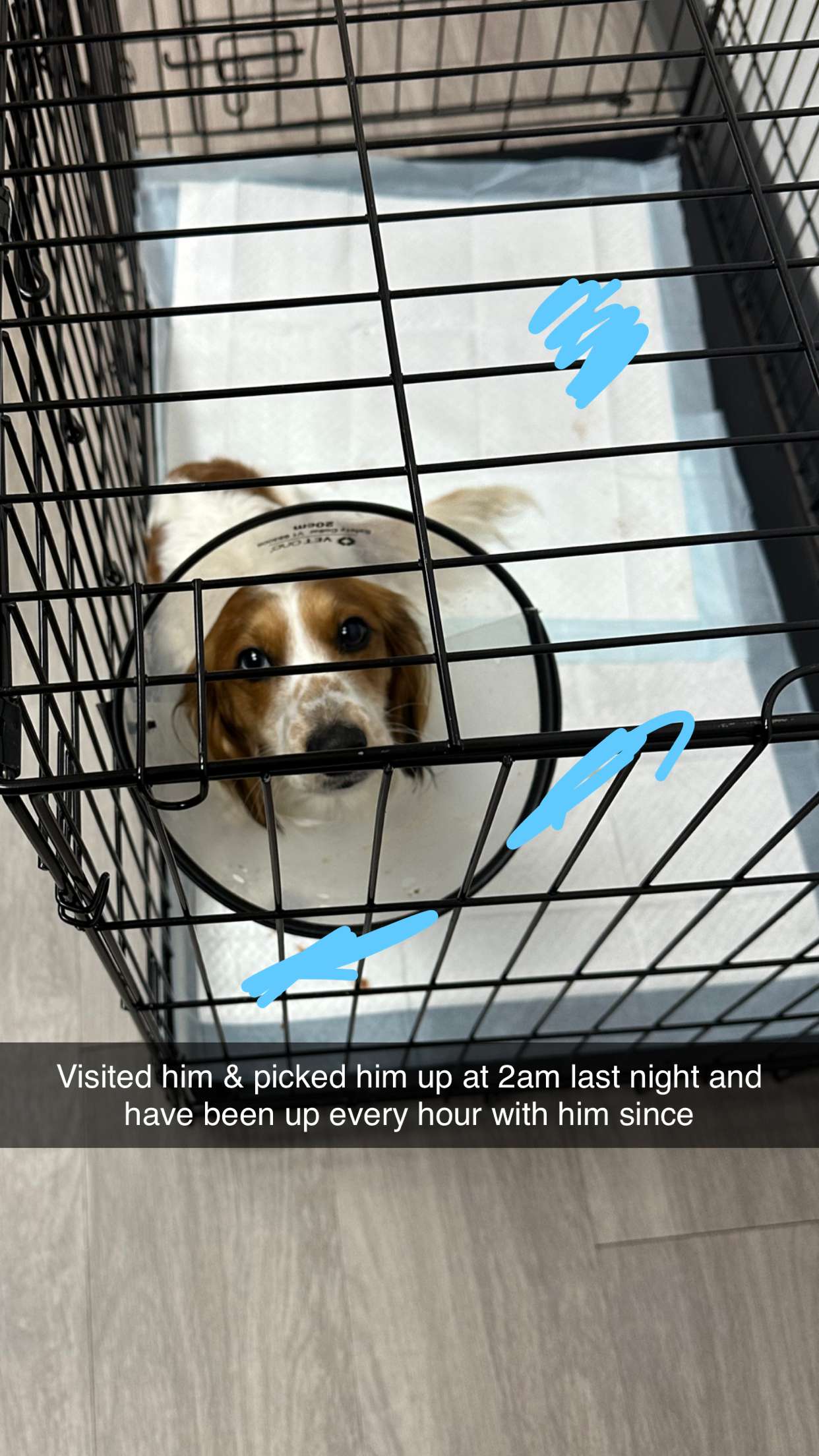 laurenj.fit snapchat image archive image