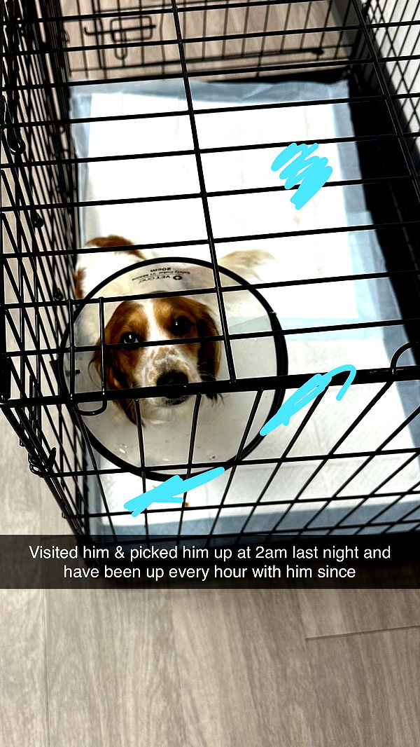 laurenj.fit image ~ Altpins