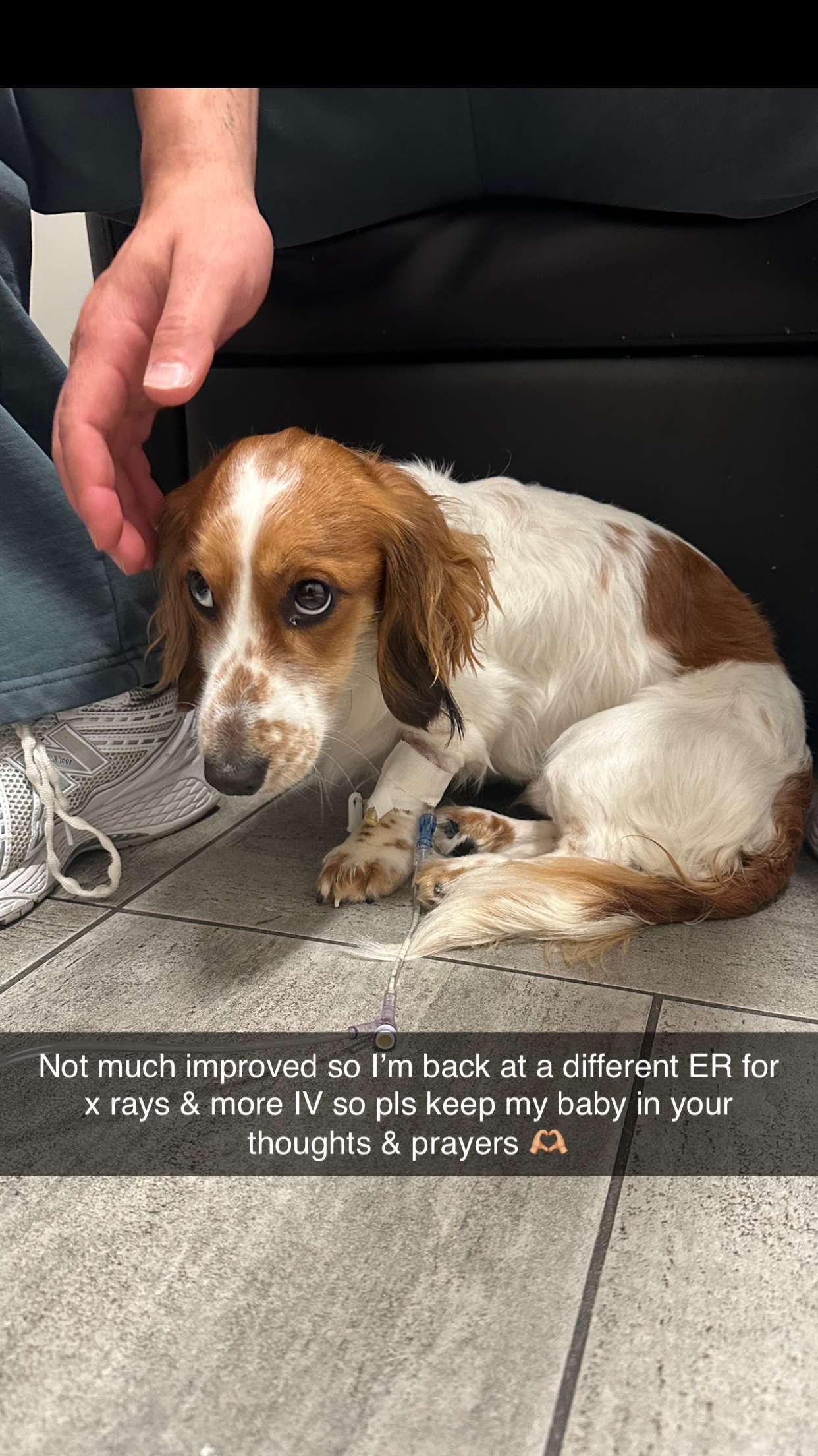 laurenj.fit snapchat image archive image