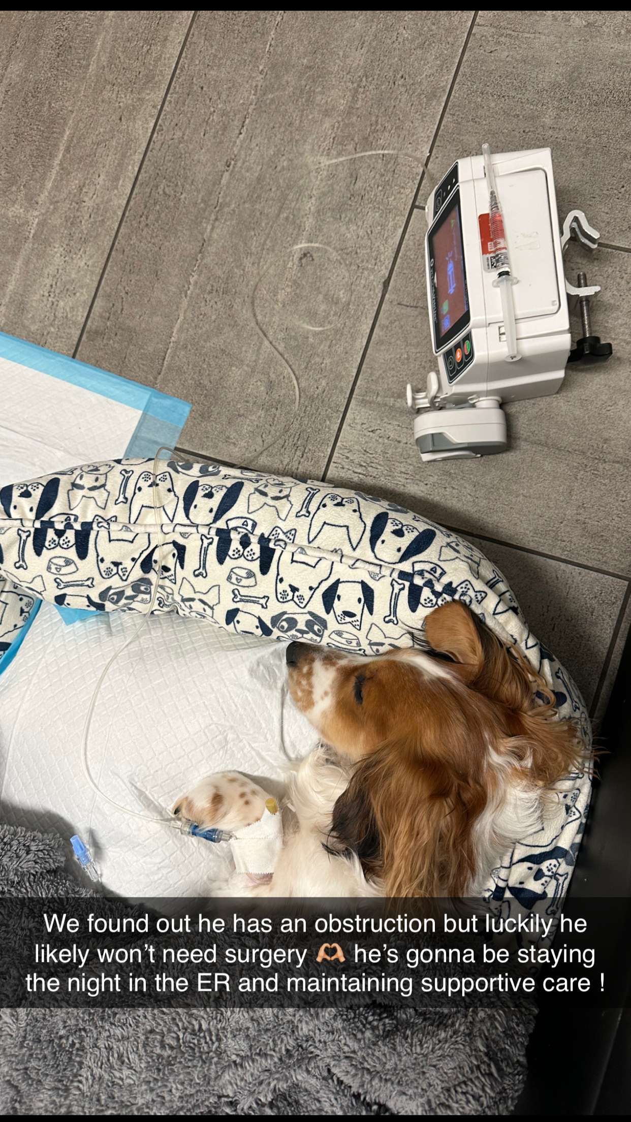 laurenj.fit snapchat image archive image