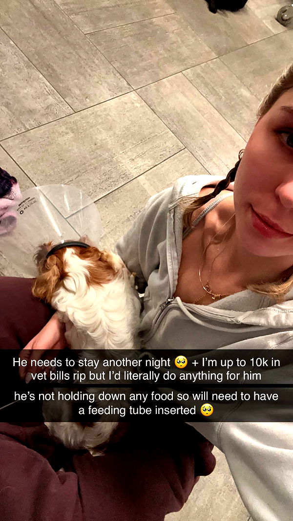 laurenj.fit image ~ Altpins