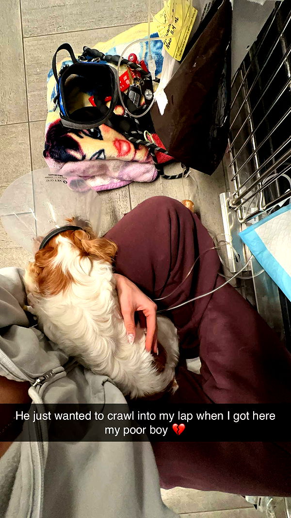 laurenj.fit image ~ Altpins