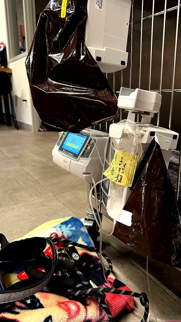 laurenj.fit image ~ Altpins