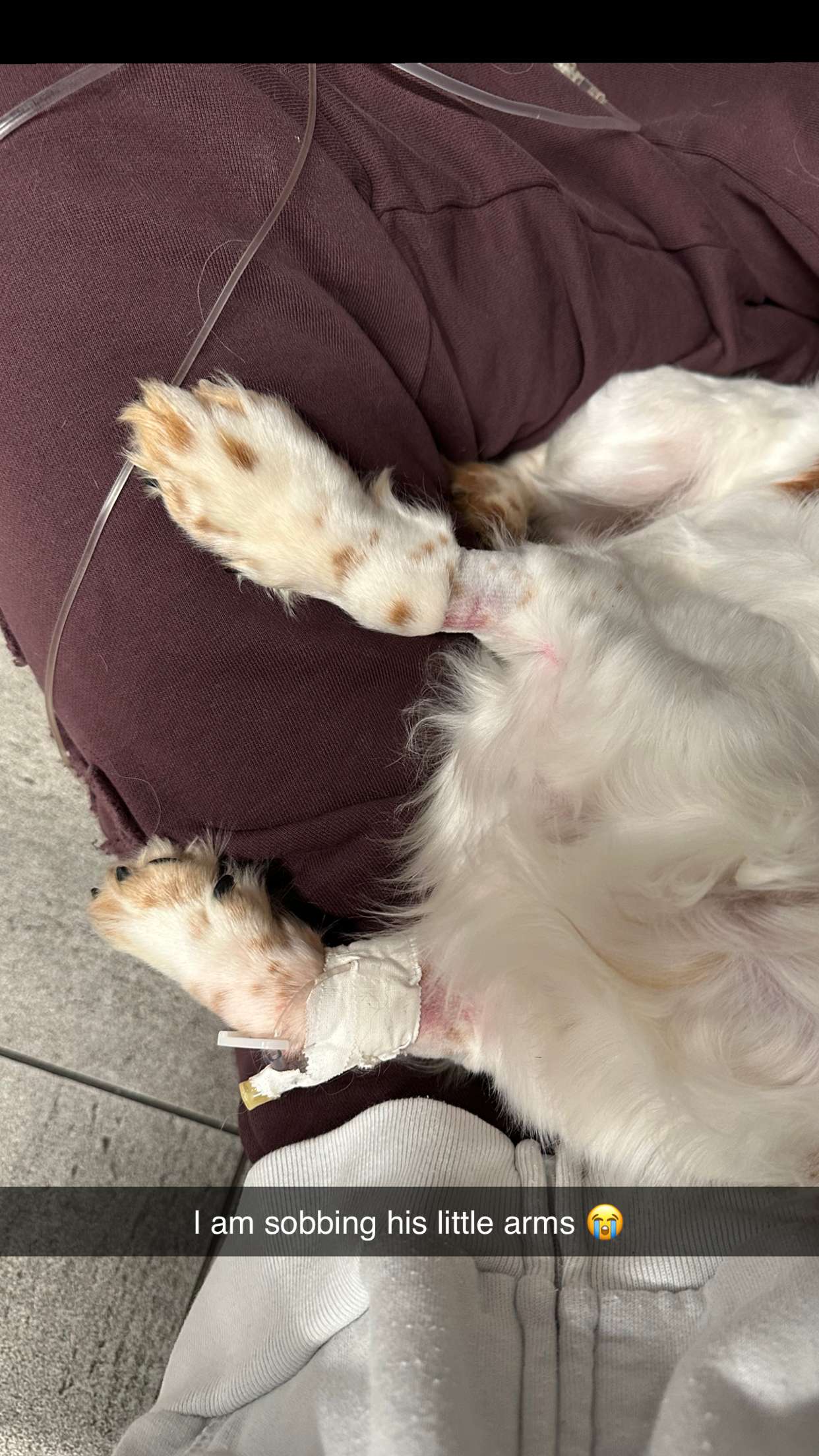 laurenj.fit snapchat image archive image