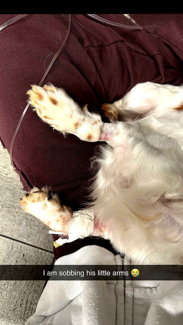 laurenj.fit image ~ Altpins