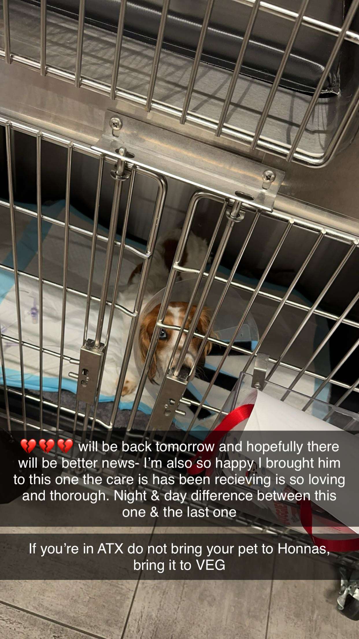 laurenj.fit snapchat image archive image