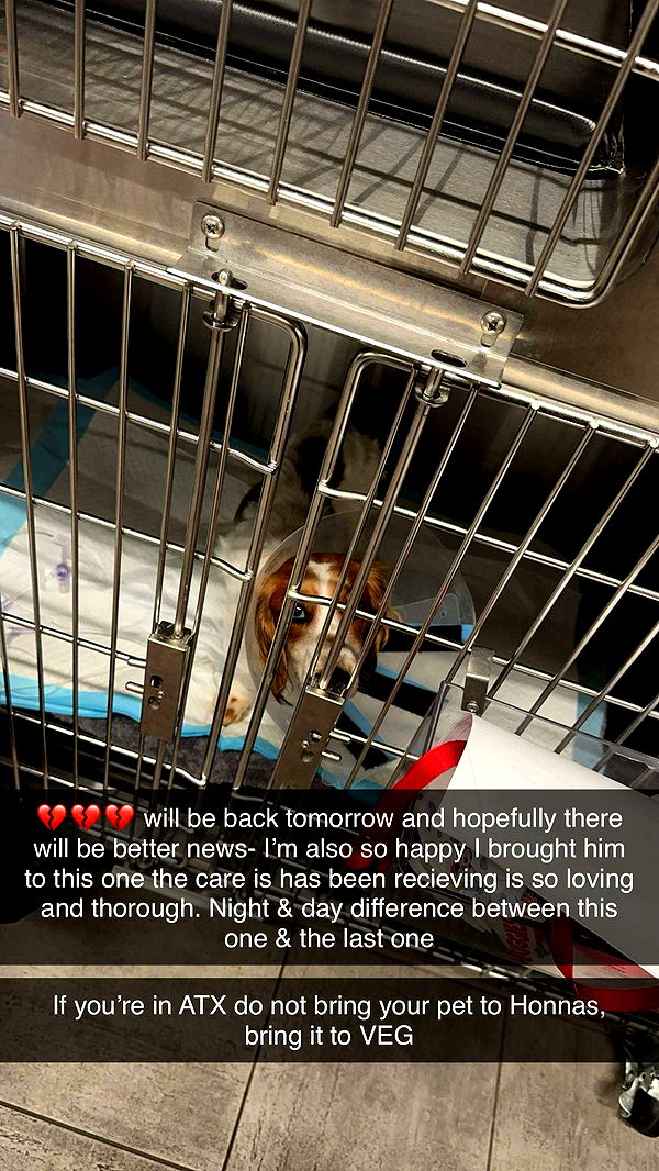 laurenj.fit image ~ Altpins