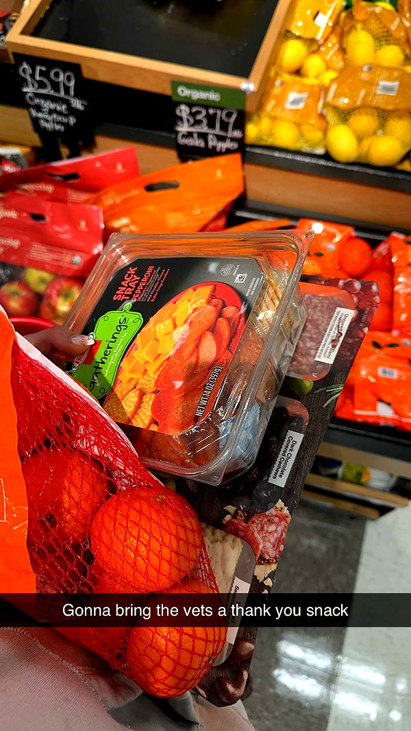 laurenj.fit image ~ Altpins