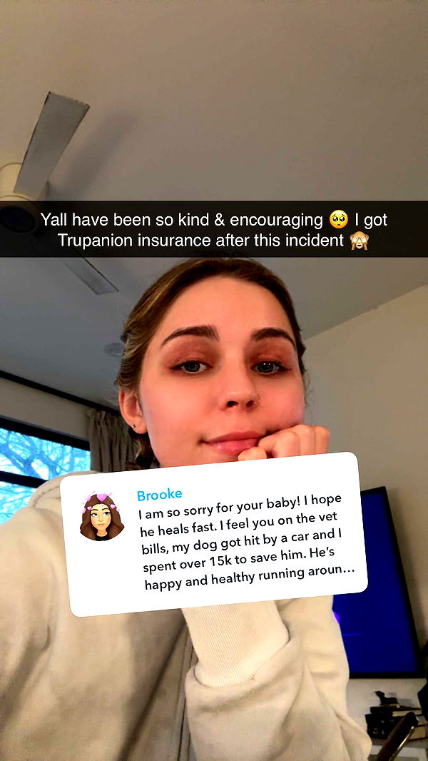 laurenj.fit image ~ Altpins