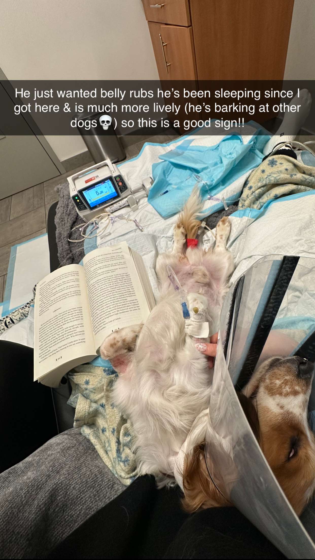 laurenj.fit snapchat image archive image