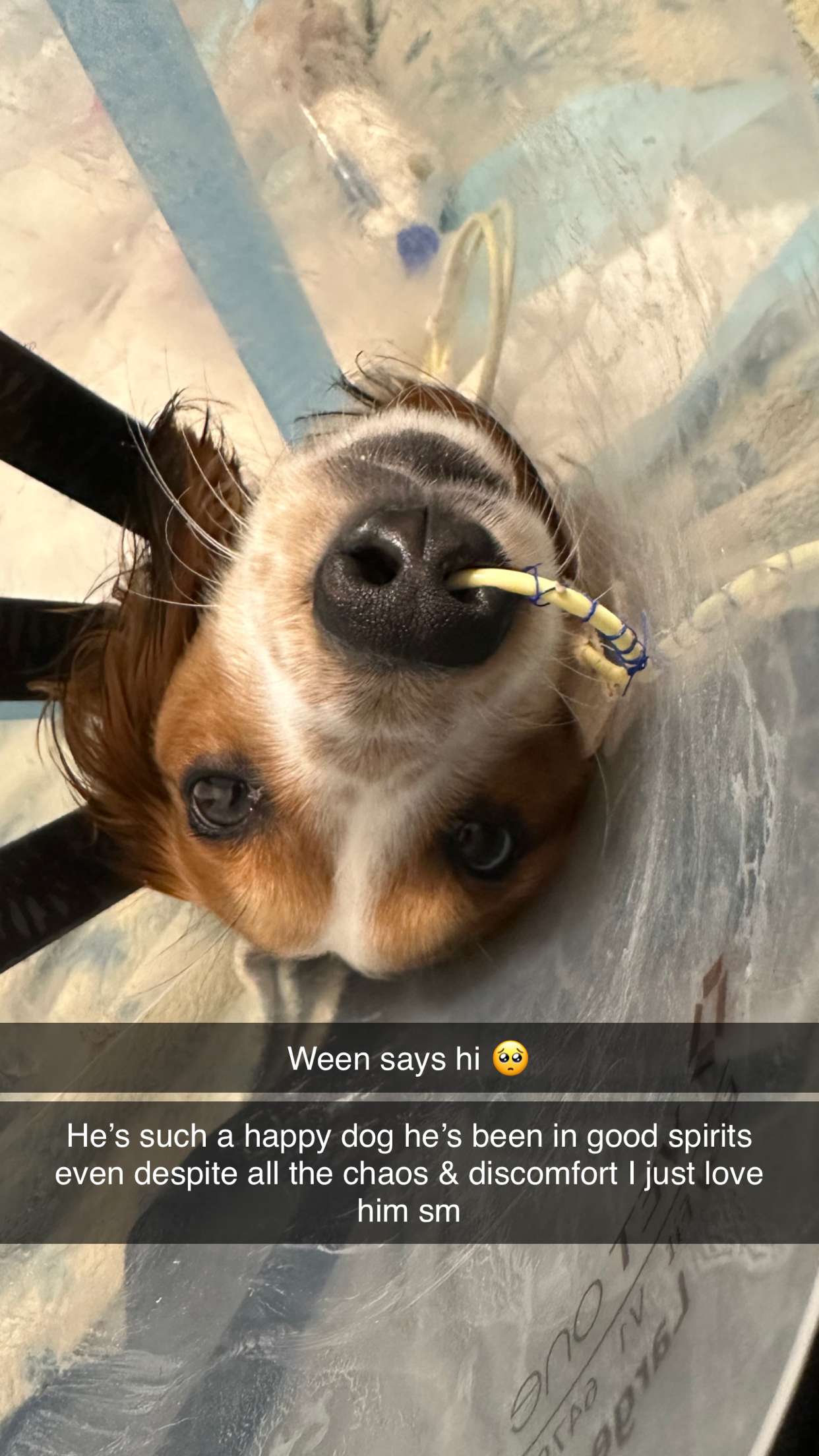 laurenj.fit snapchat image archive image