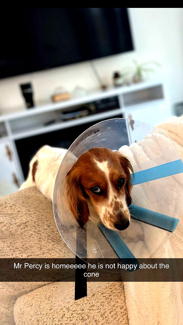 laurenj.fit image ~ Altpins