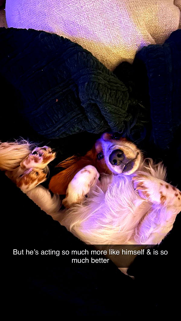 laurenj.fit image ~ Altpins