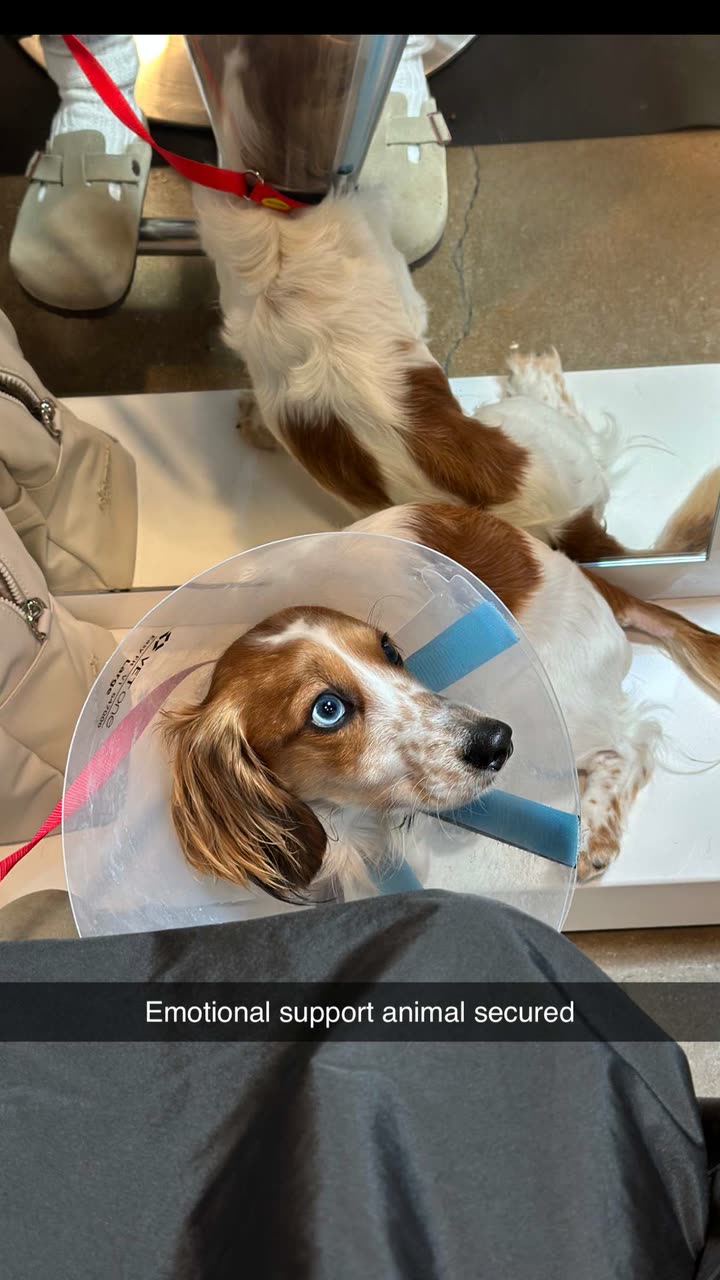 laurenj.fit snapchat image archive image