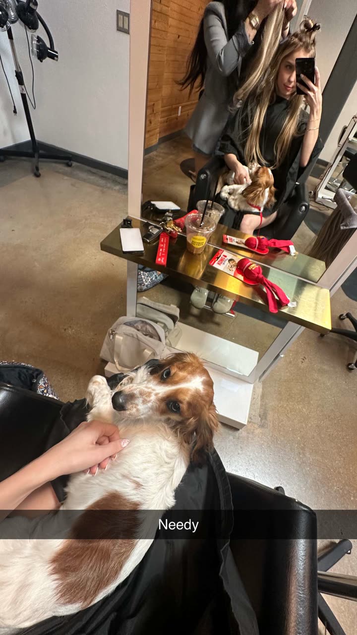 laurenj.fit snapchat image archive image